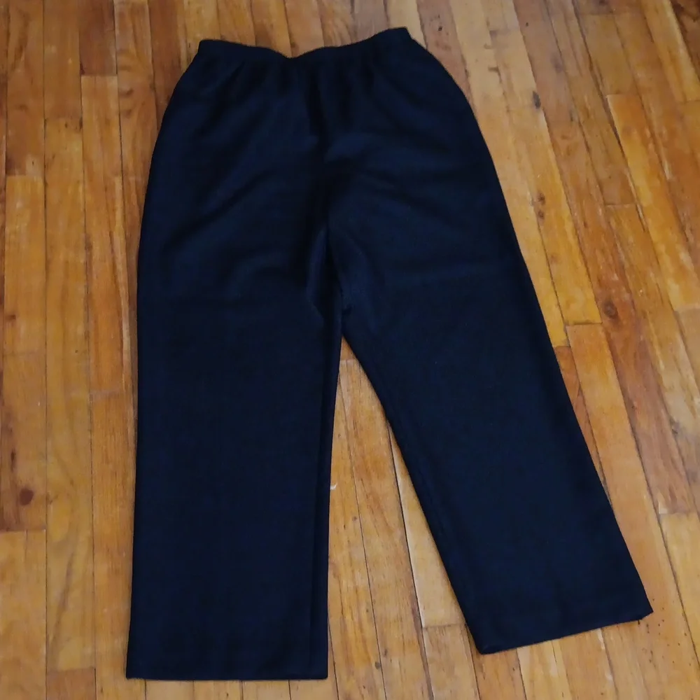 2 Pairs Alfred Dunner Straight Leg Pocket Pants Size 16 EUC - Picture 2 of 5